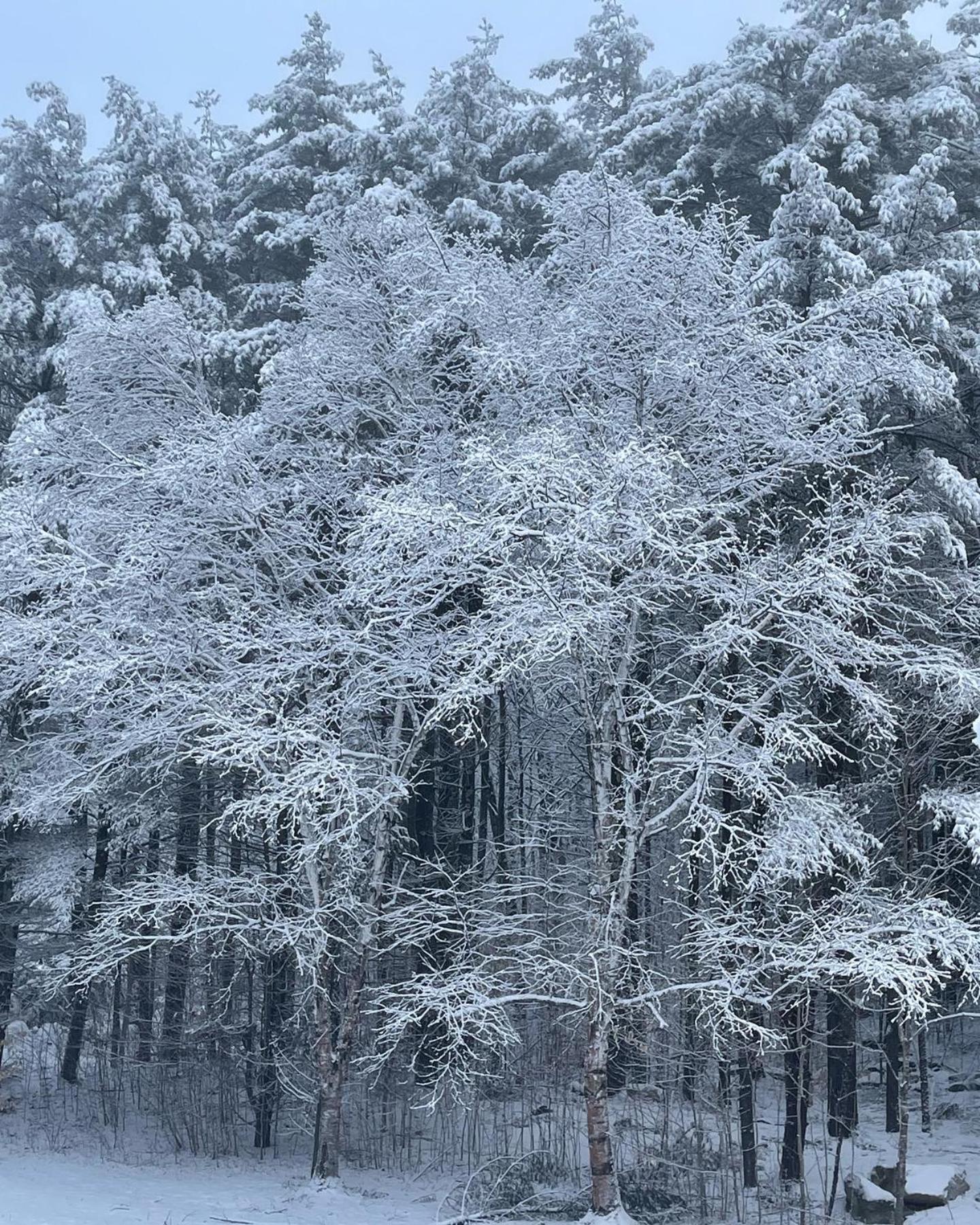 Noble House Inn Bridgton Экстерьер фото